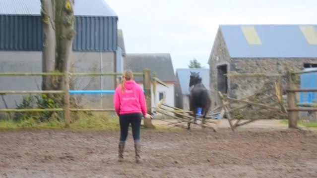 A Horse destroying the barricades! Awesome!