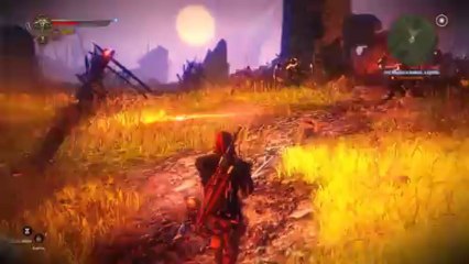 Прохождение игры "Ведьмак 2", часть 22