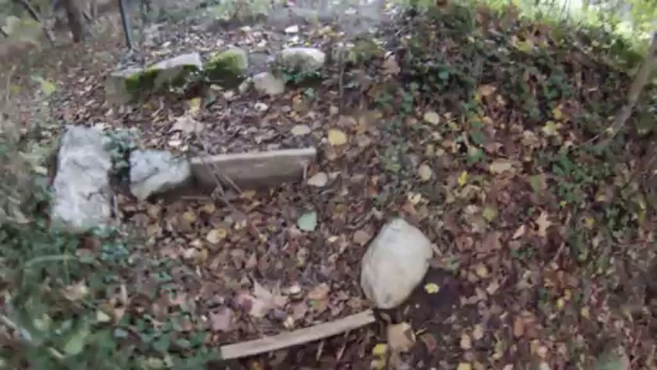 Petit essai timide au dessus du loup