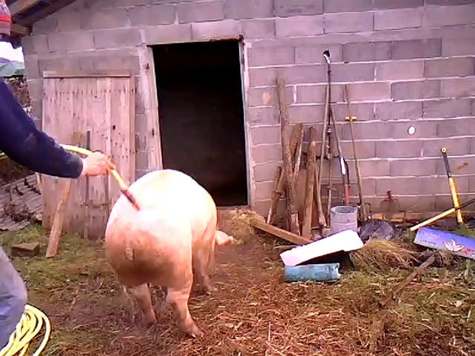 la douche de jo et jo