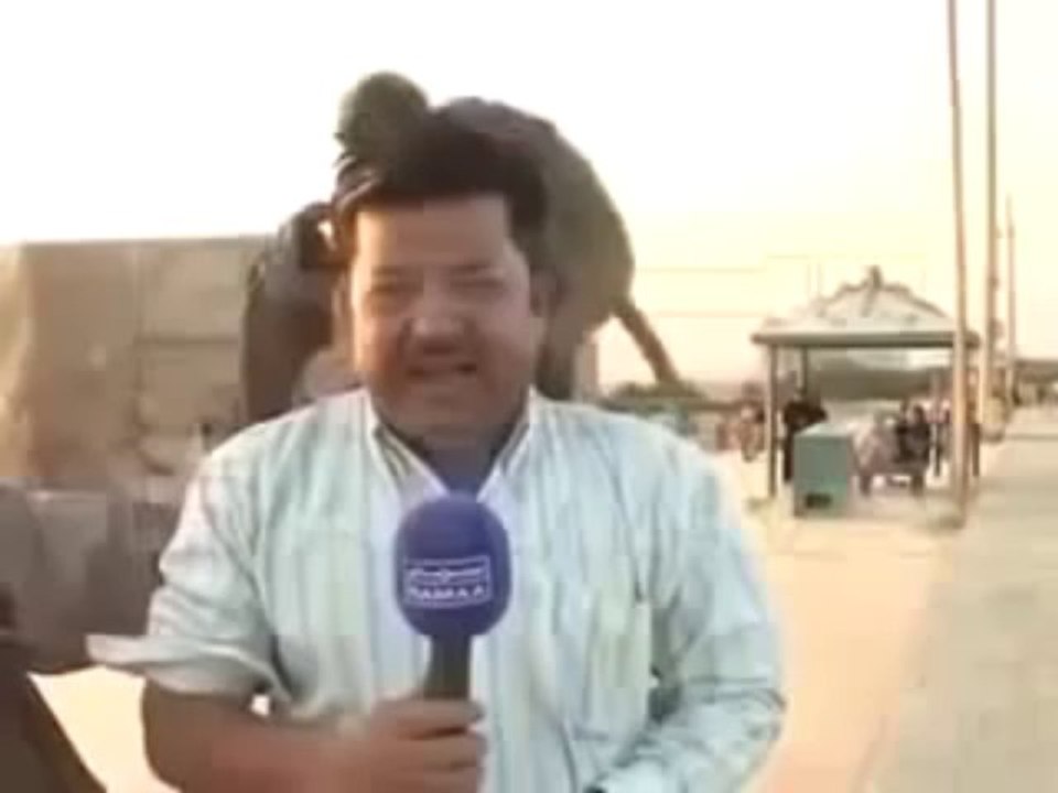 Monkey Playing With News Reporter.