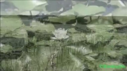 La multi ani,2014! Miez fierbinte de speranta