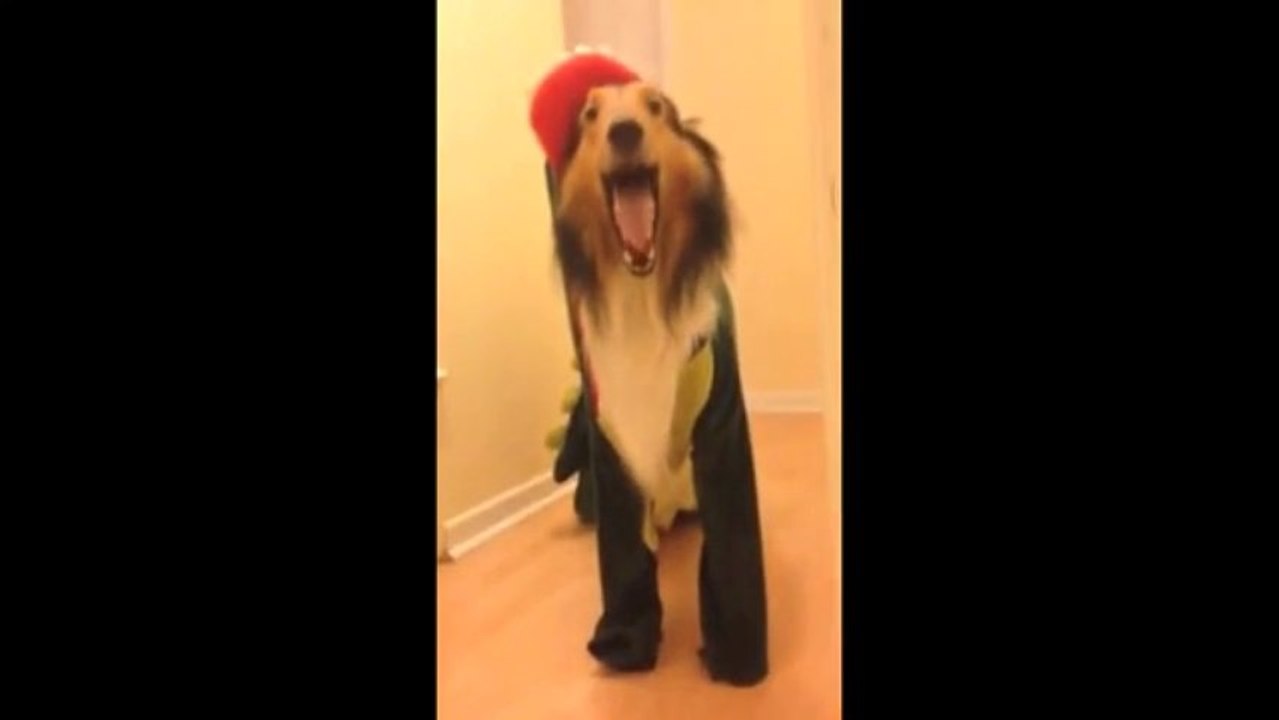Ferocious Dog Dressed as Dinosaur