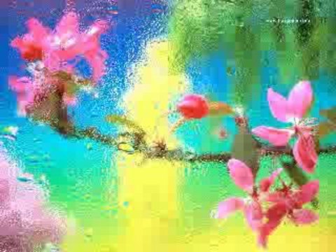 emirdagli bulent cirakli emirdag damar arabeks ask yalan askin