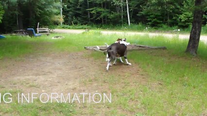 What Is Creeping? Common Web Slang Explained