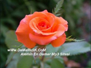 Fikret Sebas Zorunamı Gitti Gardaş