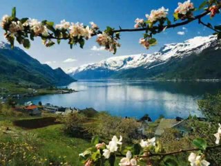 GÖNÜL YILDIZ @@ SEHER YILDIZI