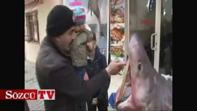 Bu kez 2 köpek balığı yakaladı