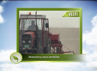 Vesti - Ekstremna cena zemljišta