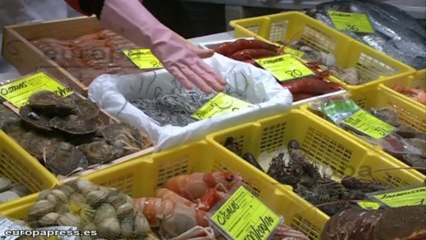 Las angulas, a 800 euros el kilogramo en Bilbao