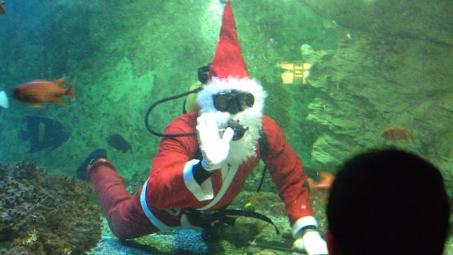 Le Père Noël nourrit les poissons