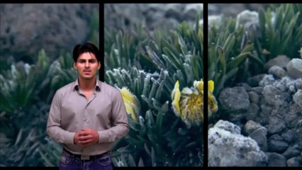 Die Zelle wurde erschaffen