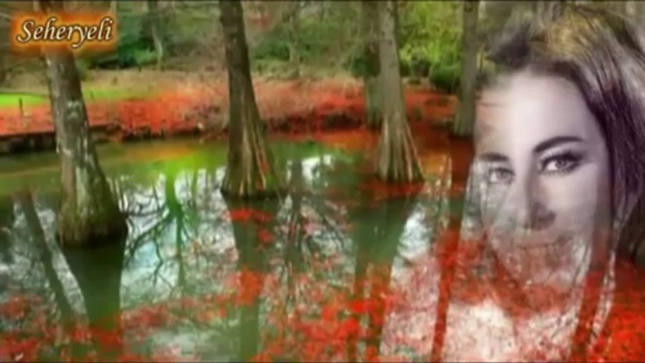 Güzide Kasacı _ Ne Çıkar Bahtımızda Ayrılık Varsa Yarın