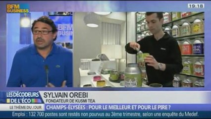 Champs Elysées: pour le meilleur et pour le pire ? dans Les décodeurs de l'éco - 24/12 1/4