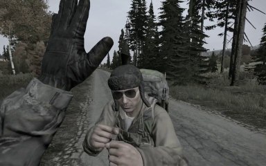 Trying To Get A High Five In Dayz