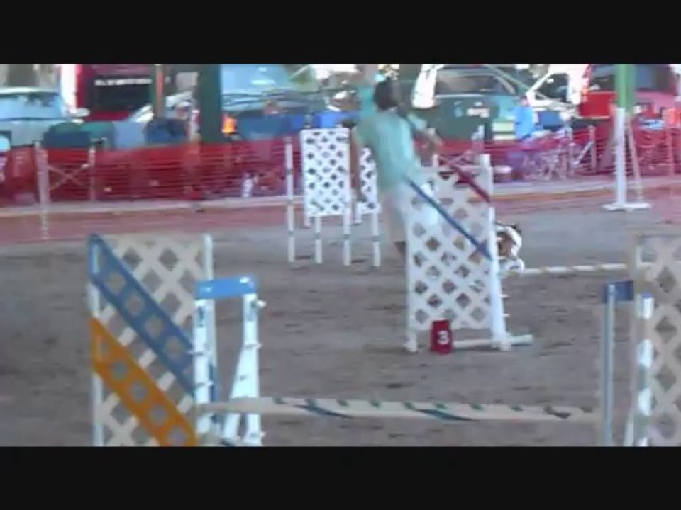 AKC Agility Trial 09/28/2013