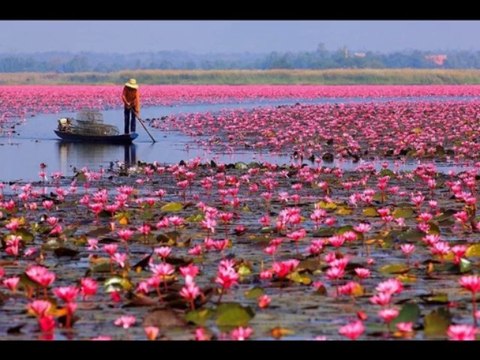 esin kumral Sans toi je suis seul