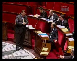 Application des articles 34-1, 39 et 44 de la Constitution - Mercredi 21 Janvier 2009