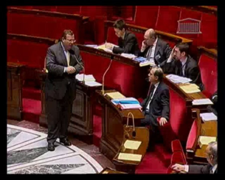 Application des articles 34-1, 39 et 44 de la Constitution - Mercredi 21 Janvier 2009