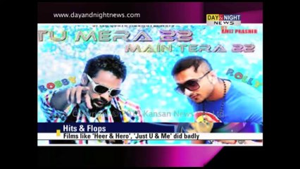 Punjabi film - Hits & Flops 2013