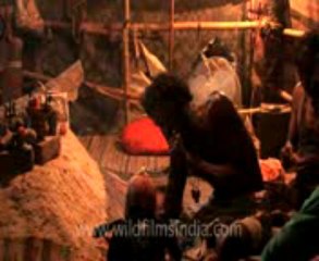 super love vashikaran baba ji  91+9928860580