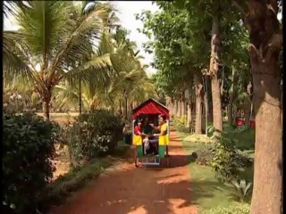 Mps Green Forte Resort Tvc