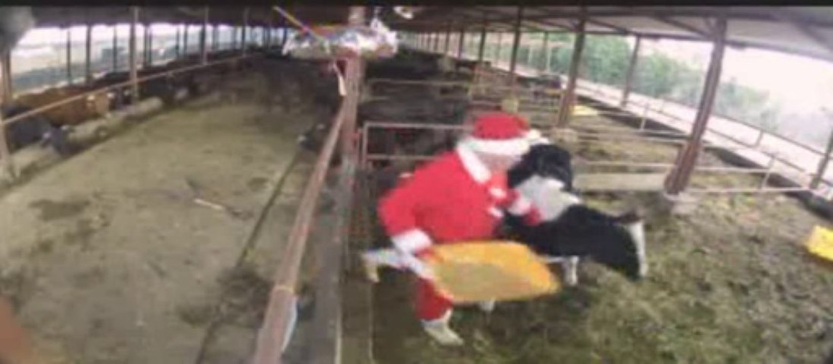 20121224　吉沢サンタ