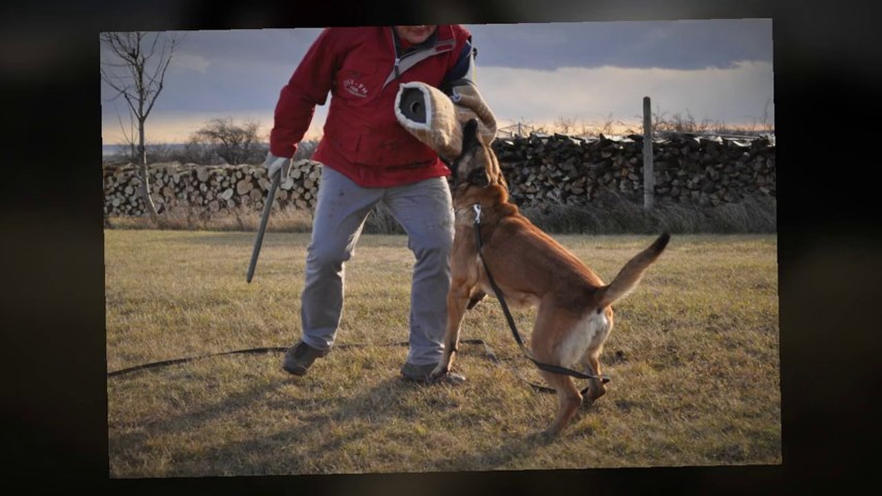 Be  Aware Bonkers - Trainingsimpressionen 2011