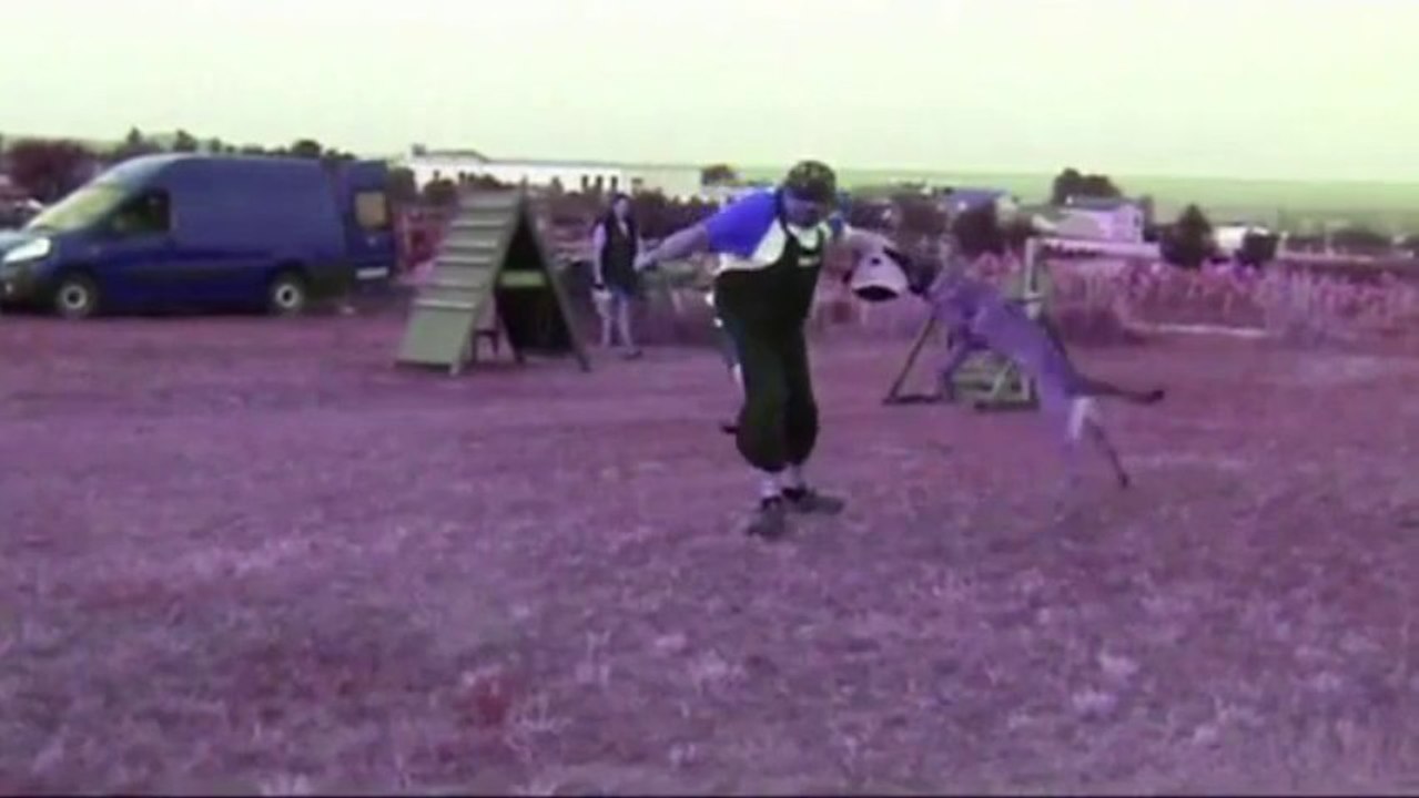 Be Aware Bonkers - Let's rock that party!