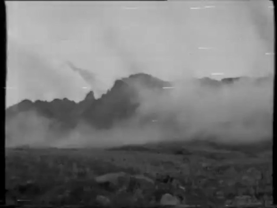 Reportage YIDDIR....rare. A consommer sans modération