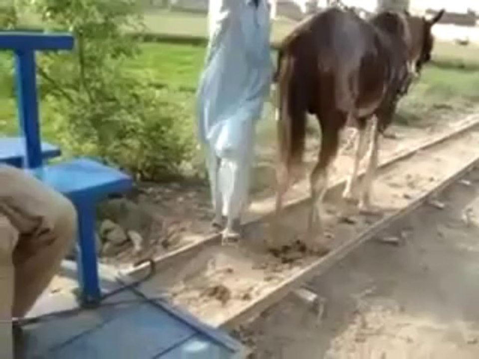 Desi Train [New Invention]