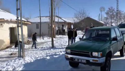 Yavru vaşak, açlık ve soğuktan öldü