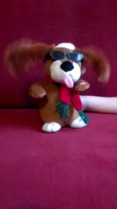 VID_20131225_114541_731