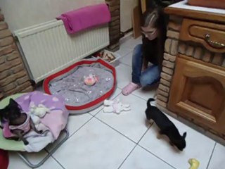 pere noel est passé pour les fifilles