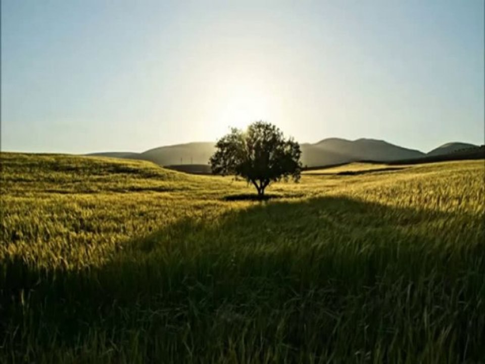 Musa Eroglu - (2007) Nem Kaldı