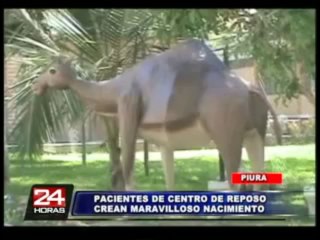 Internos de centro de reposo elaboraron gigantesco nacimiento en Piura