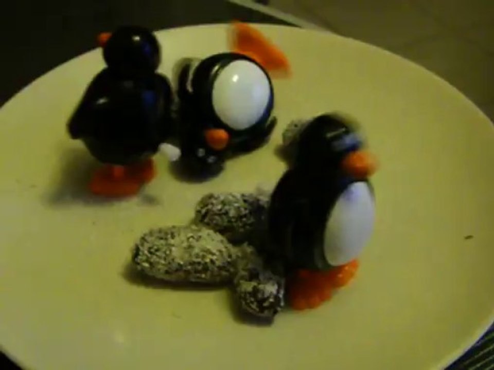 La danse des pingouins qui font des crottes...