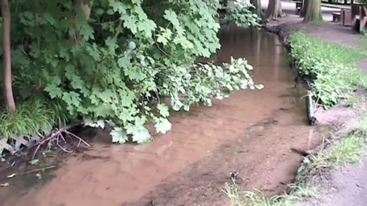 Wildpark Dünnwald – Wildschwein und Co.