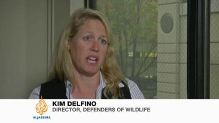 New California law protects rare bird species