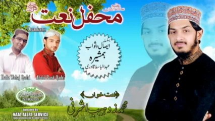 Zohaib Ashrafi 2014 - Hussain Sa Koi Nahe