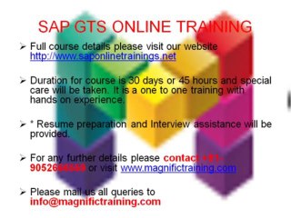 SAP GTS Best ONLINE TRAINING