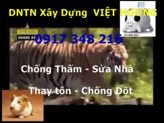 Sơn sửa nhà đón Tết ở quận 5 gọi / Thanh 0917 348216