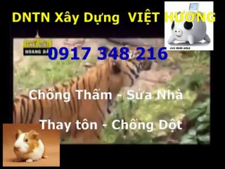Sơn sửa nhà đón Tết ở quận 6 gọi // Thanh 0917 348216