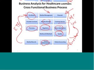 Business Analysis Healthcare Domain Training - Live Demo (Trainer Raghu)