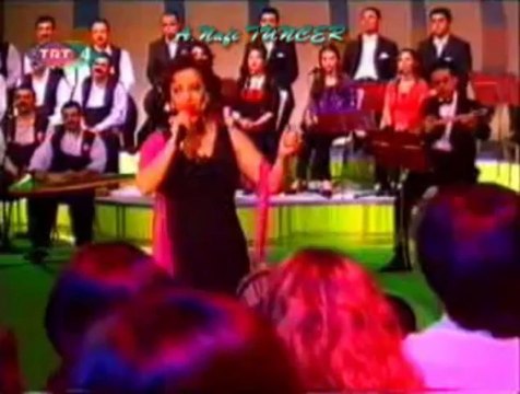 Aysun GÜLTEKİN-Bir Seher Vaktinde İndim Bağlara