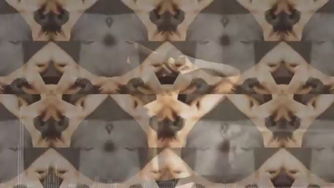 The Bees - Silver Line (Draaiwinti Edit)