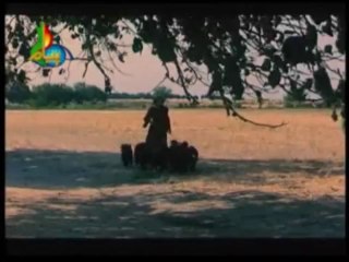 HAZRAT YOUSUF A.S  ( Urdu ) Episode 05