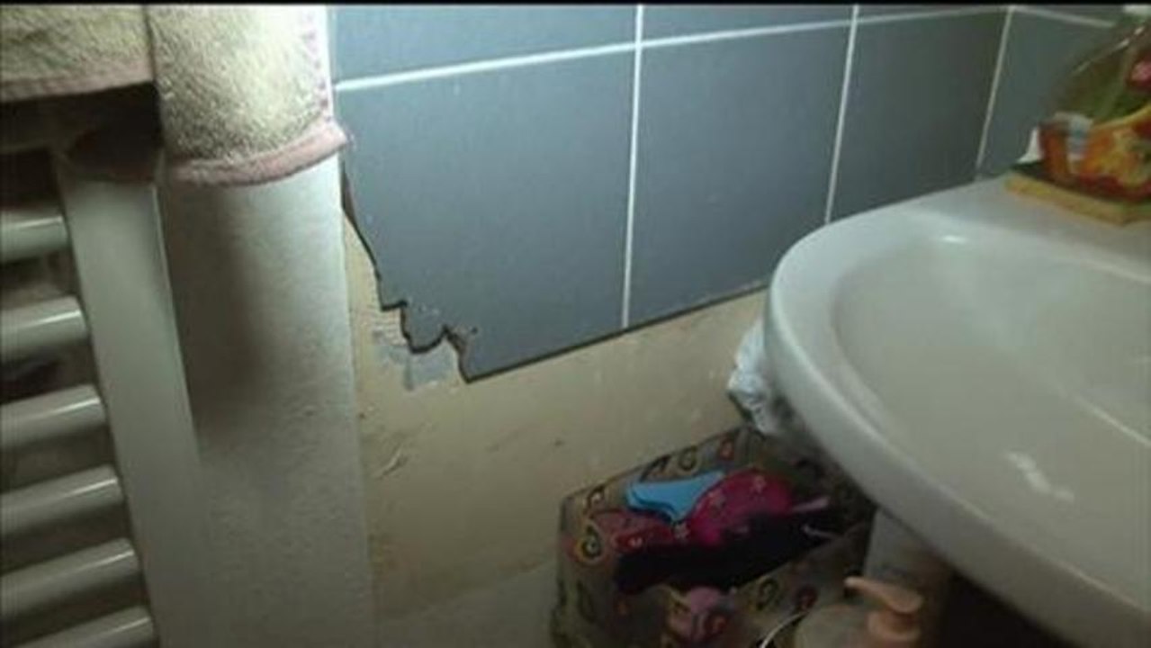 74 locataires d'un HLM de Fresnes dans le Val-de-Marne, attaquent leur bailleur en justice - 26/12