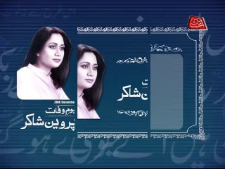 AbbTakk - Parveen Shakir - Template 6