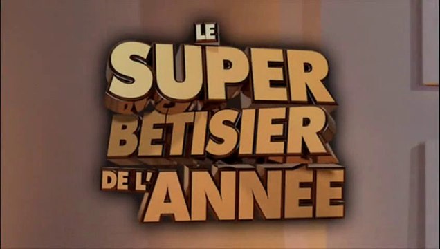 LSF Bêtisier 2012-2013 de la bibliothèque Saint-Eloi (Paris 12e)